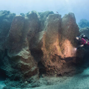 House Reef Dive Site
